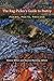 The Rag-Picker's Guide to Poetry: Poems, Poets, Process