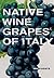 Native Wine Grapes of Italy by Ian D'agata