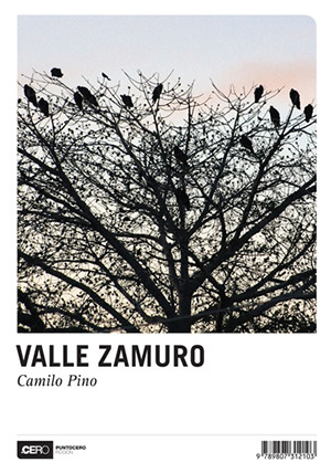 Valle Zamuro (Paperback)