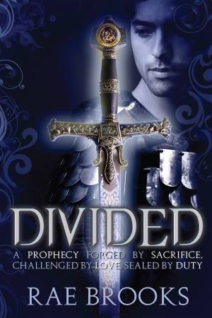 Divided (Kindle Edition)