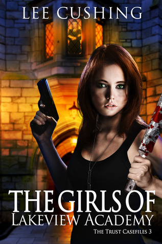 The Girls Of Lakeview Academy  (The Trust Casefiles #3)