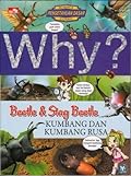 Beetle & Stag Beetle - Kumbang dan Kumbang Rusa