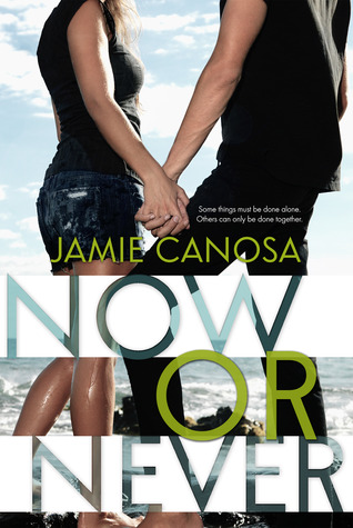 Now or Never (Fight or Flight, #3)