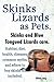 Skinks Lizards as Pets. Blu...