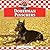 Doberman Pinschers (Dogs Set 11)
