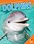 Dolphins (Smartest Animals)