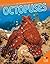 Octopuses (Smartest Animals)