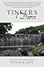 Tinker's Damn by David K. Leff