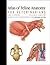 Atlas of Feline Anatomy For Veterinarians: For Veterinarians