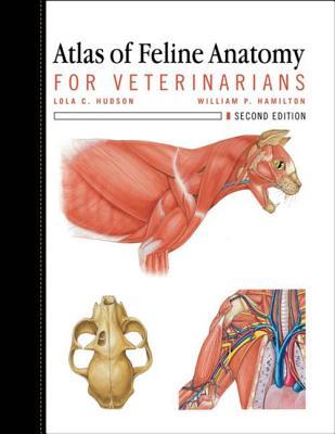 Atlas of Feline Anatomy For Veterinarians: For Veterinarians (Paperback)