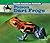 Poison Dart Frogs (South American Animals)