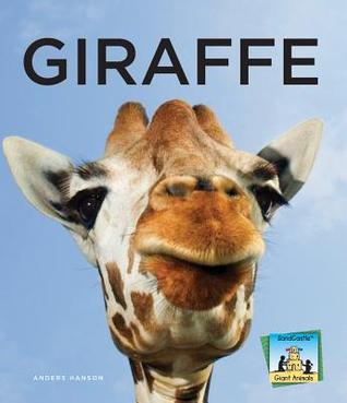 Giraffe (Giant Animals)