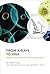 From X-rays to DNA: How Eng...