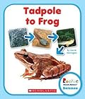Tadpole to Frog