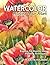 Watercolor, Making Your Mark: Explore 55 Step-by-Step Painting Techniques
