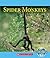 Spider Monkeys
