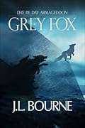 Grey Fox