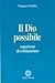 Il Dio possibile. Esperienze di cristianesimo