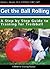 Get the Ball Rolling: A Step by Step Guide to Training for Treibball (Dogwise Training Manual)
