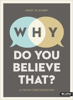 Why Do You Believe That? A Faith Conversation (Paperback)