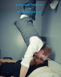 A Stainless Steel Cat