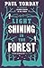 Light Shining In The Forest