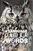 A Language Older Than Words