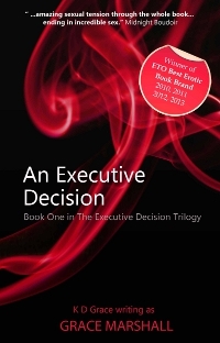 An Executive Decision (The Executive Decision Trilogy, #1)