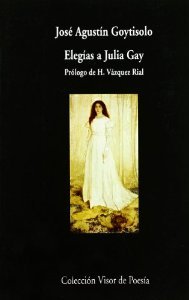 Elegías a Julia Gay (Paperback)
