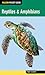 Reptiles & Amphibians (Falcon Pocket Guide)
