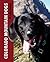 Colorado Mountain Dogs by M. John Fayhee