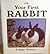 Your First Rabbit
