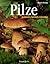 Pilze. Bestimmen, Sammeln, Zubereiten.