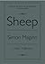Sheep by Simon Maginn