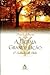 A Última Grande Lição by Mitch Albom