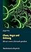 Chaos, Angst und Ordnung by Jürgen Kriz