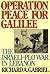 Operation Peace For Galilee...