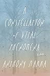 A Constellation o...
