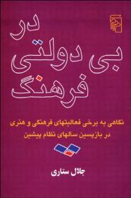 در بی دولتی فرهنگ