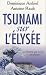 Tsunami sur l'Elysée - Pour...