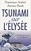 Tsunami sur l'Elysée - Pourvu que ce soit une fiction !