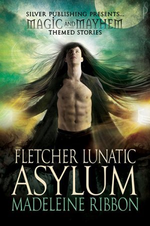 Fletcher Lunatic Asylum (Magic and Mayhem Themed Stories)
