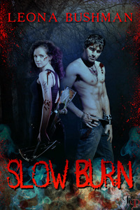 Slow Burn (ebook)