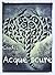Acque scure (Tattoo and Spirit, #2)