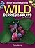 Wild Berries & Fruits Field Guide of the Rocky Mountain States (Wild Berries & Fruits Identification Guides)