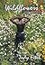 Wildflowers: A Memoir of an...