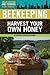 Beekeeping: Harvest Your Own Honey (Urban Gardening and Farming for Teens)