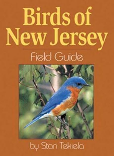 Birds of New Jersey Field Guide