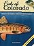 Fish of Colorado Field Guide