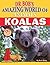 Koalas (Dr. Bob's Amazing World of Animals)